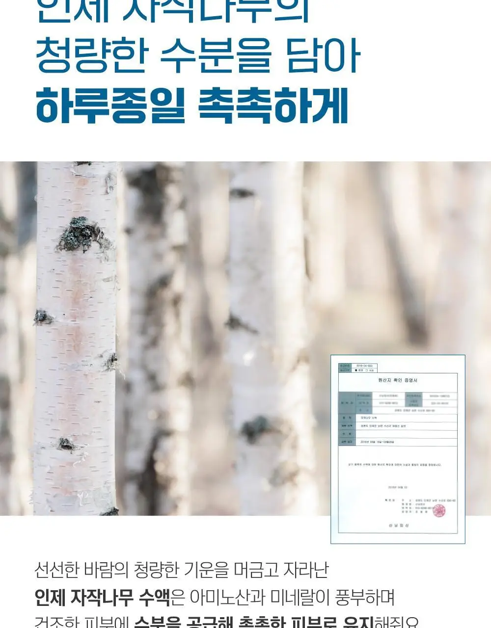 [수분쿨링] 라운드랩 자작나무 수분 선쿠션 15g 상세페이지 4